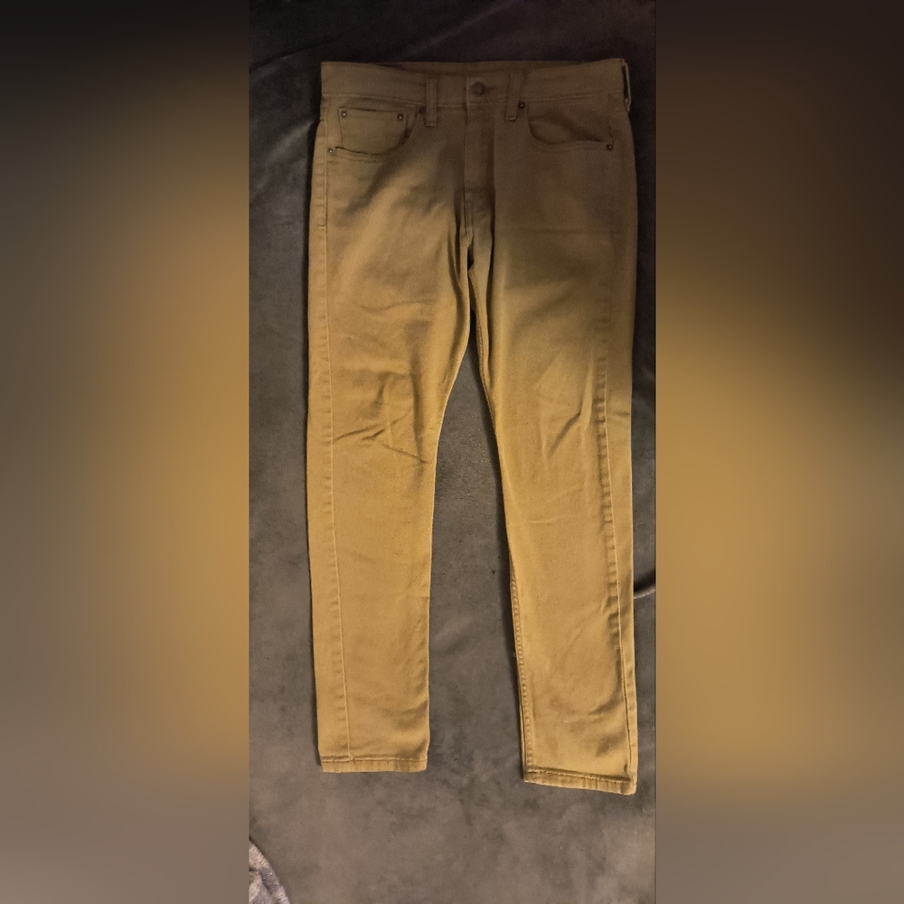 Levi Slim Pants